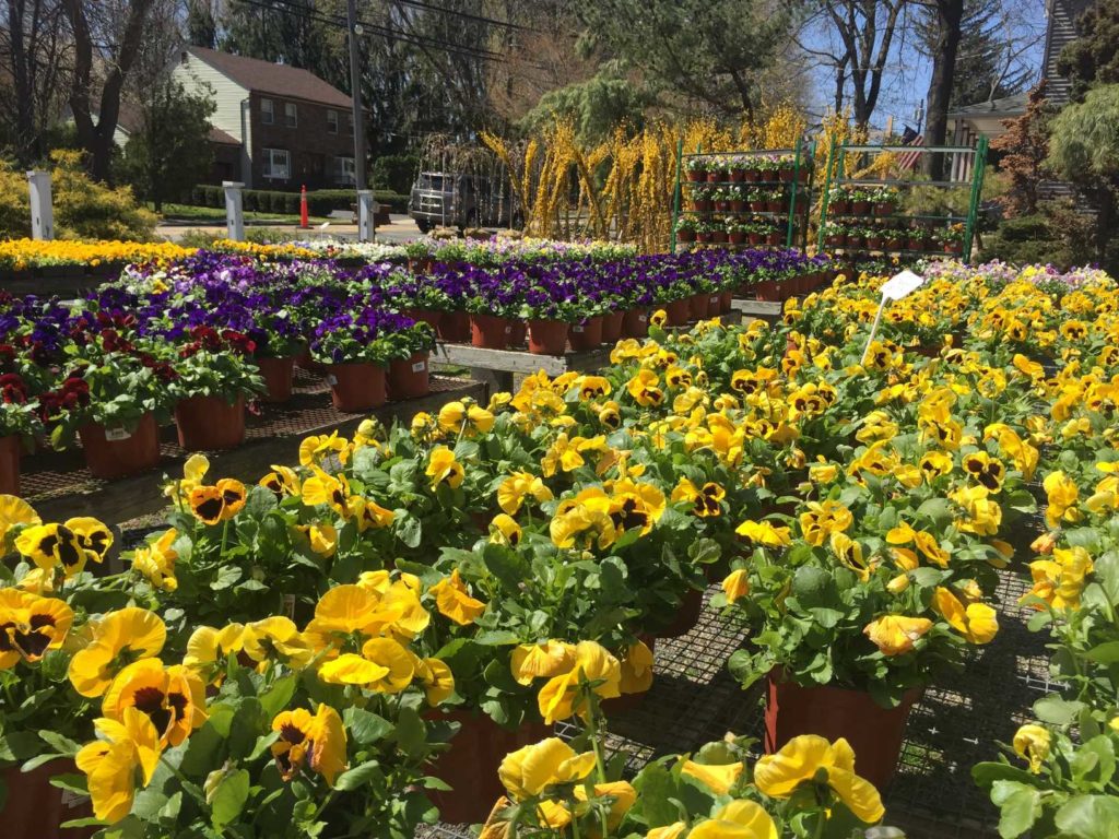 Gallery Waldwick Gardens